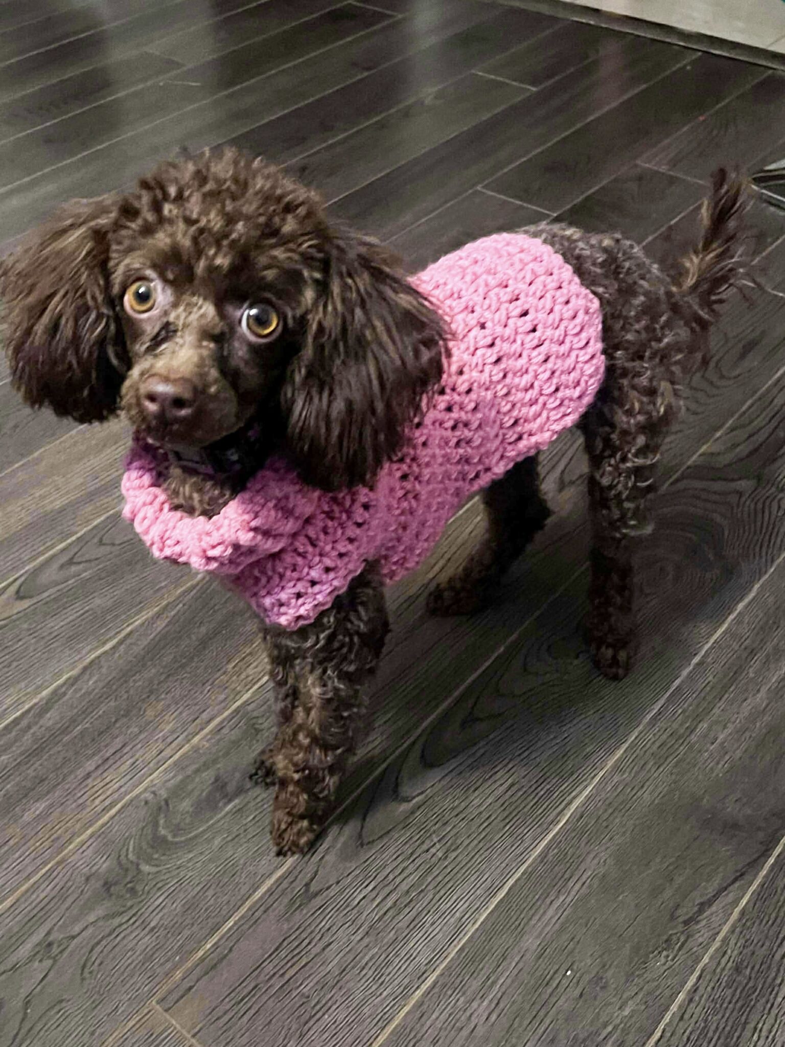 1f79ef46296164f95e2be9fa2ae7ec1a