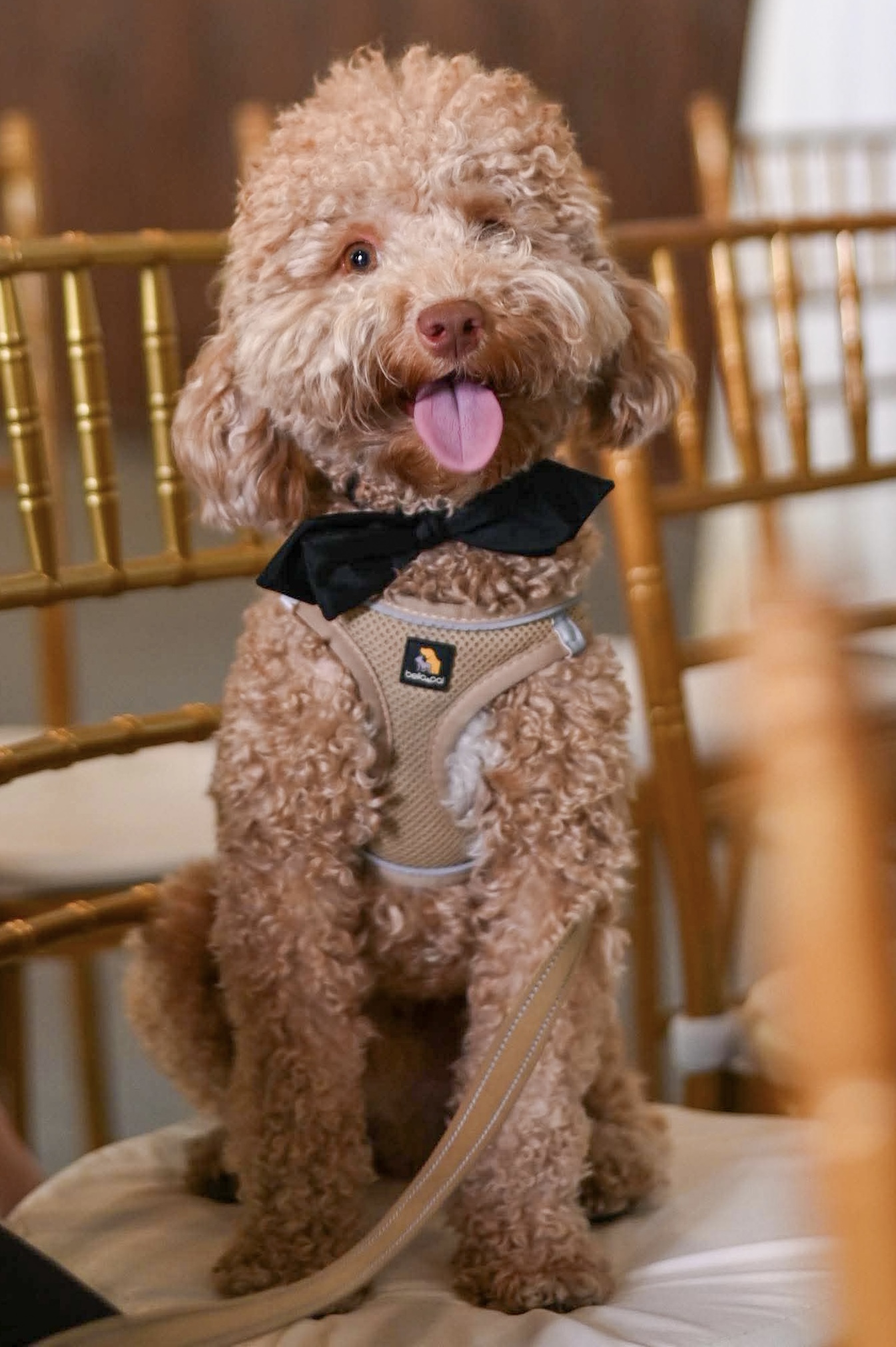 38c0100820daab9506fdff24c7871b9b