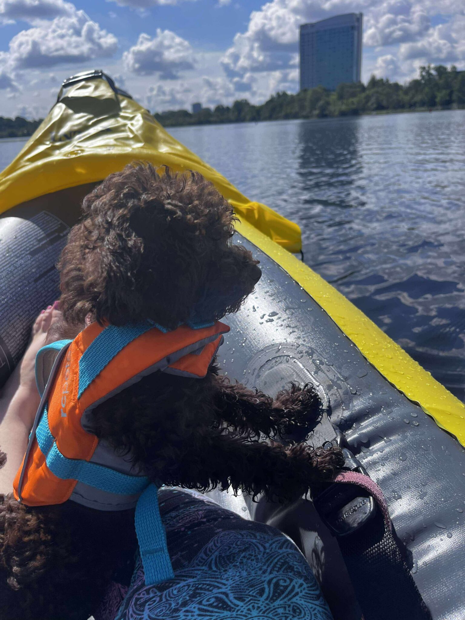 94383c774aa96838fc6c9d3ba927abb7