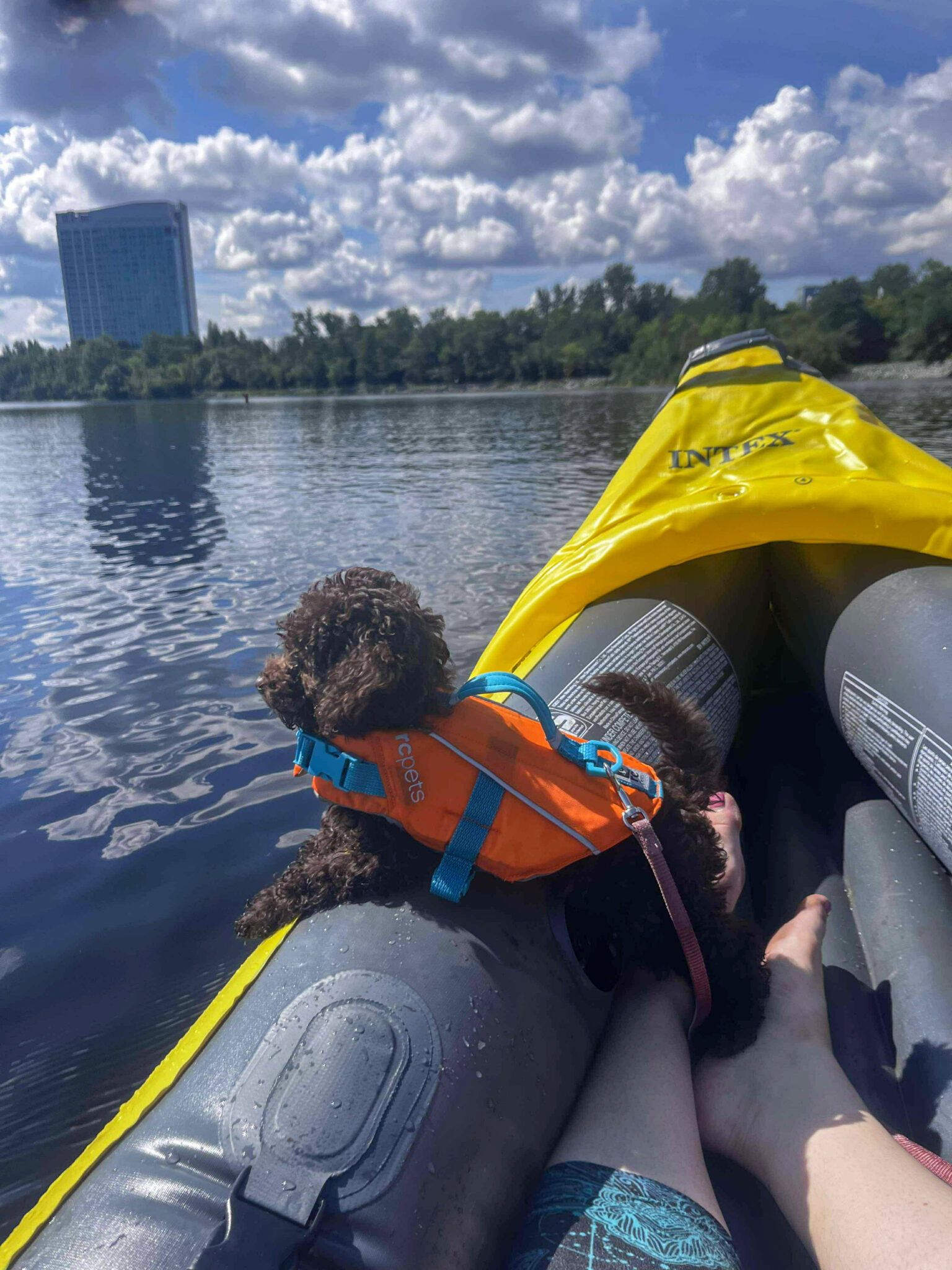 ad9a9080f29ef101ed08448f68ad1960