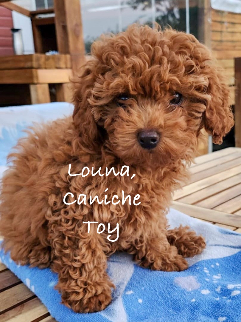 att.CAZBELrIZzvxGD1JvMrp9mIRTOIgvVXb6sMQJu2wukk