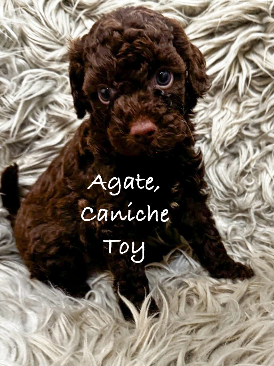 att.Slt-JokbkaF4q_ZXI7EvIrZbmPwtIWJxN4kTo5xmiOY